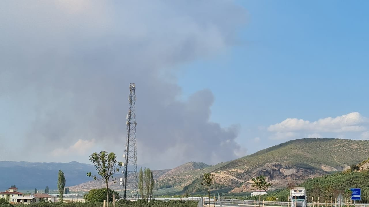 İznik'te çıkan orman yangını kontrol altına alındı