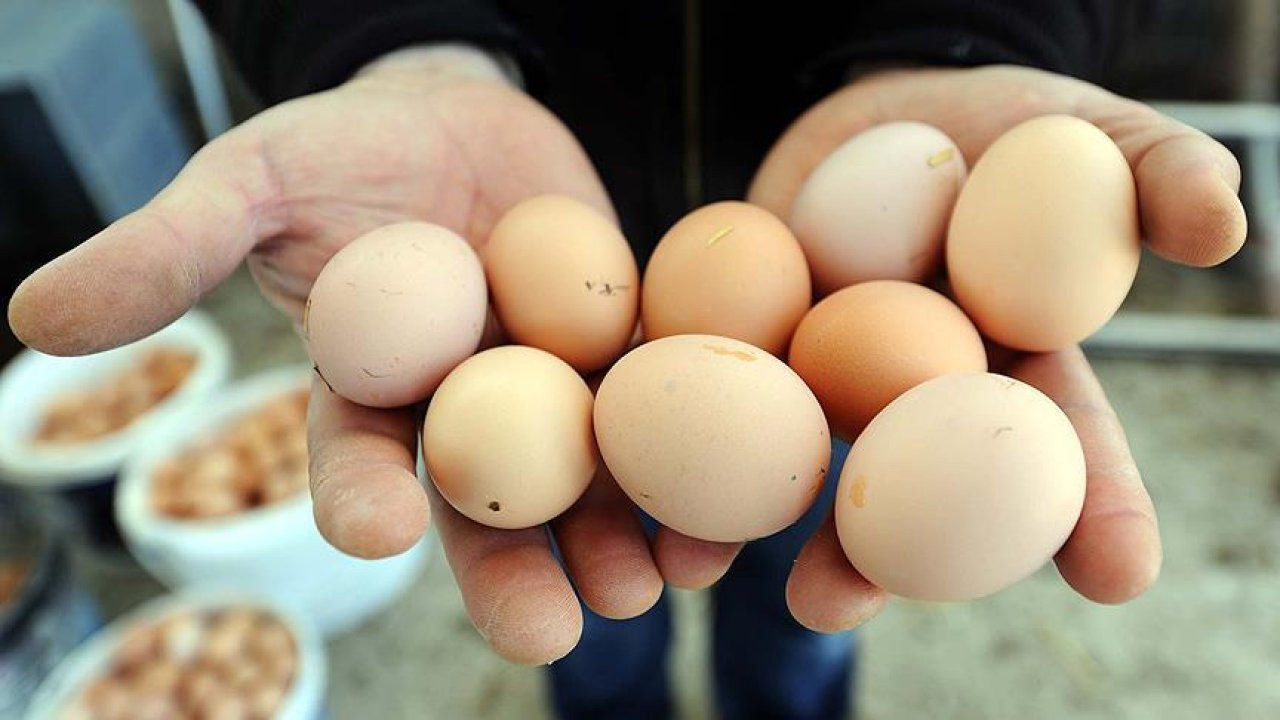 Yumurta haşlarken kaynama suyuna 2 damla limon sıkın! Sonuç şaşırtıcı