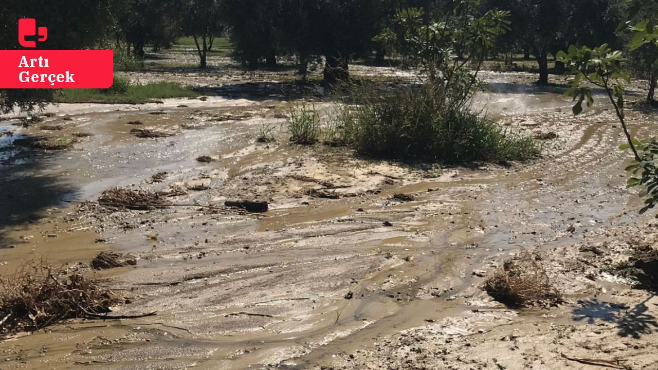 Aydın Germencik’te çevre felakati: JES borusu patladı!