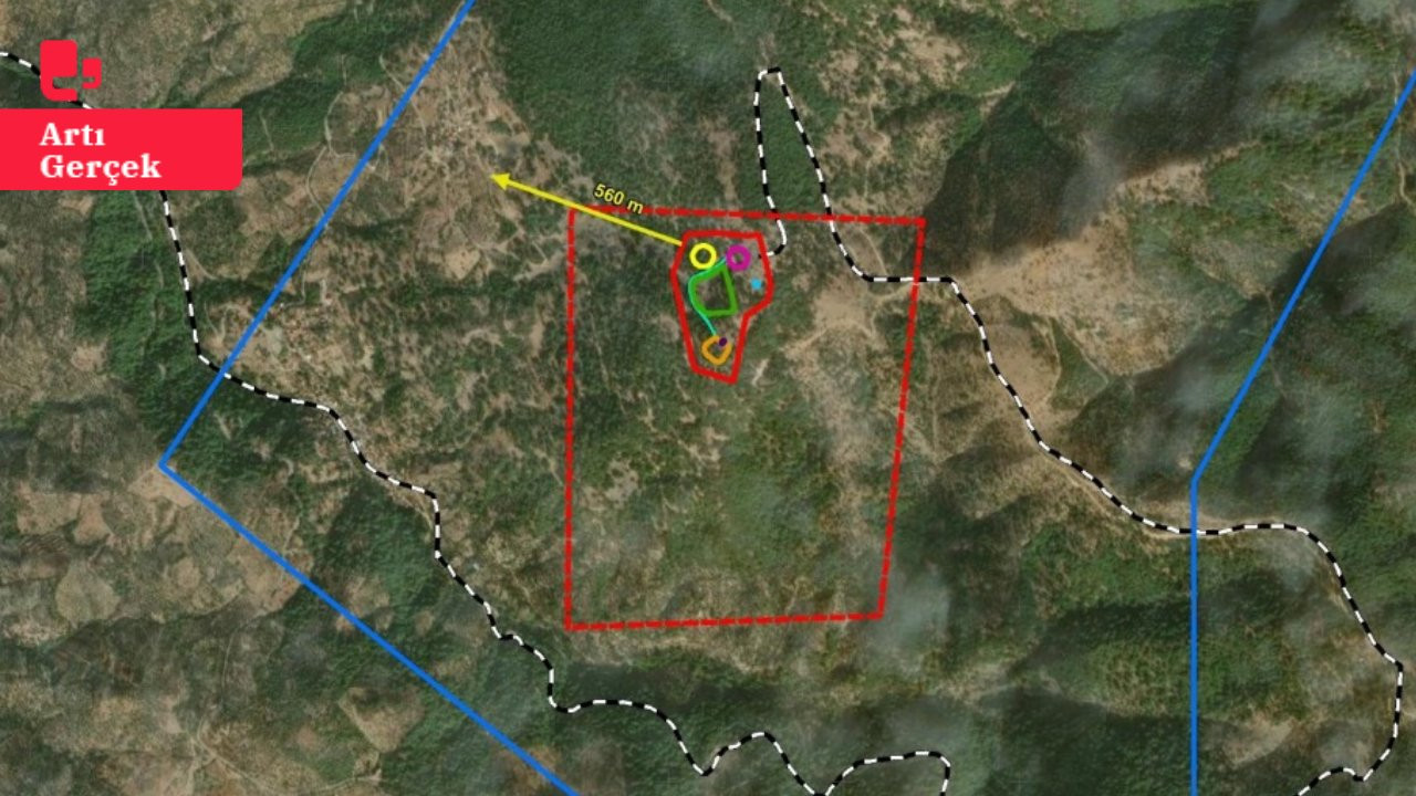 Koza'da altın madeni projesi bir kez daha reddedildi: 'Zeytincilik Kanunu'na aykırı'