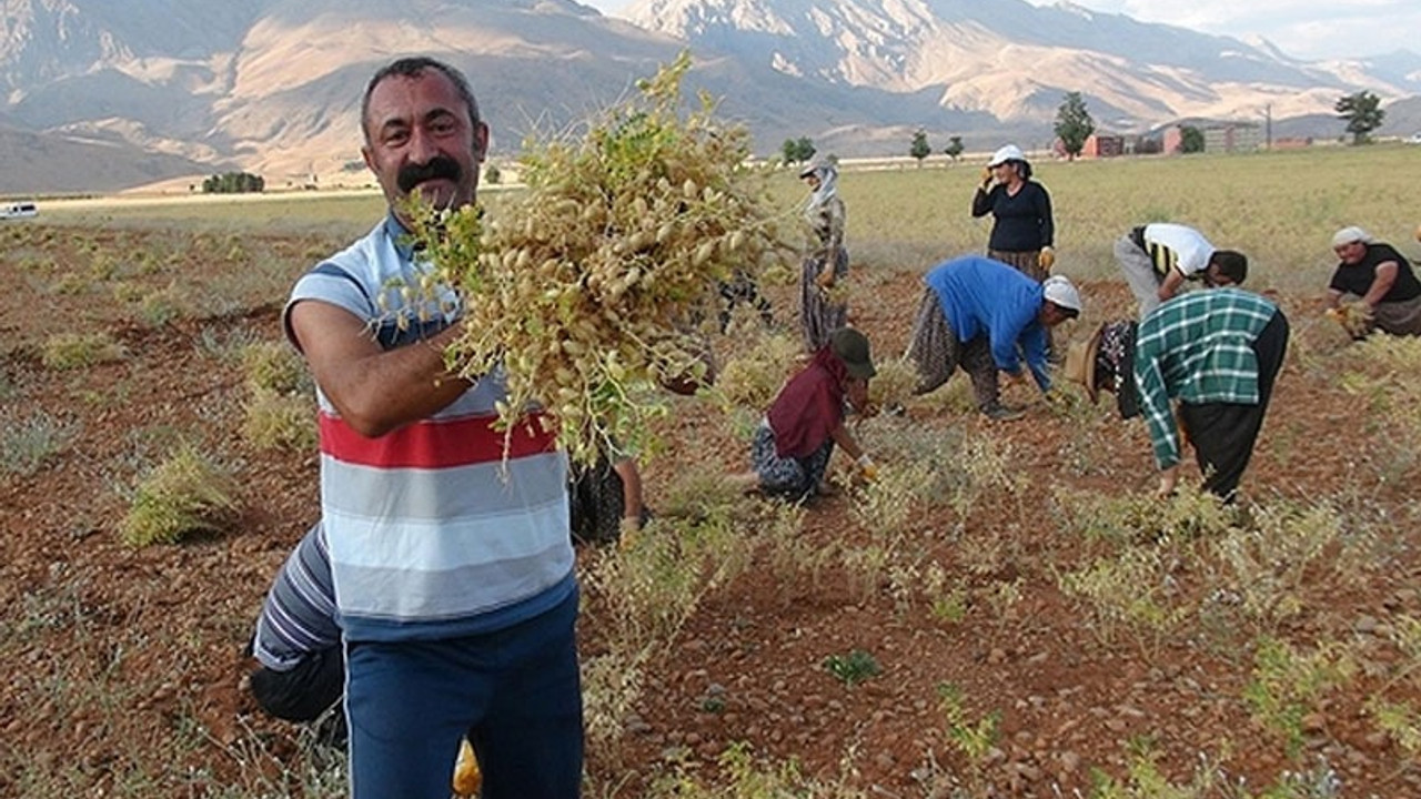 Hükümet şimdi de Ovacık'a göz dikti