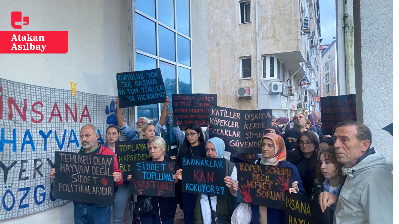 Gebze'deki hayvan katliamı Hopa'da protesto edildi: Ülke suç mahalline döndü