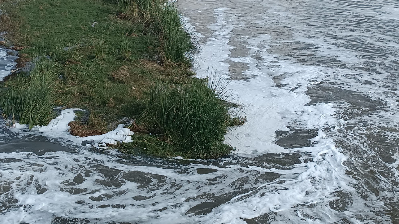 Bismil Belediyesi’nden Dicle Nehri uyarısı: Suyu kullanmayın, balık avlamayın