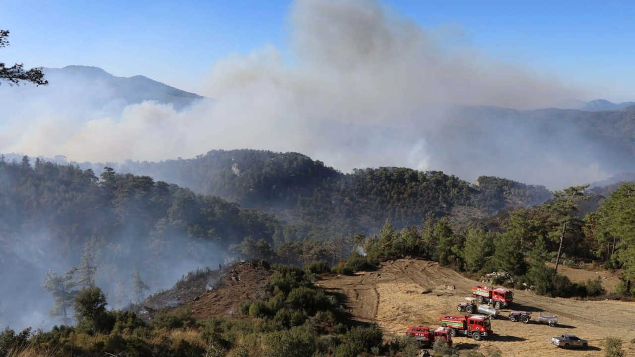 Muğla'da elektrik telleri orman yangını çıkardı: 29 yapı zarar gördü