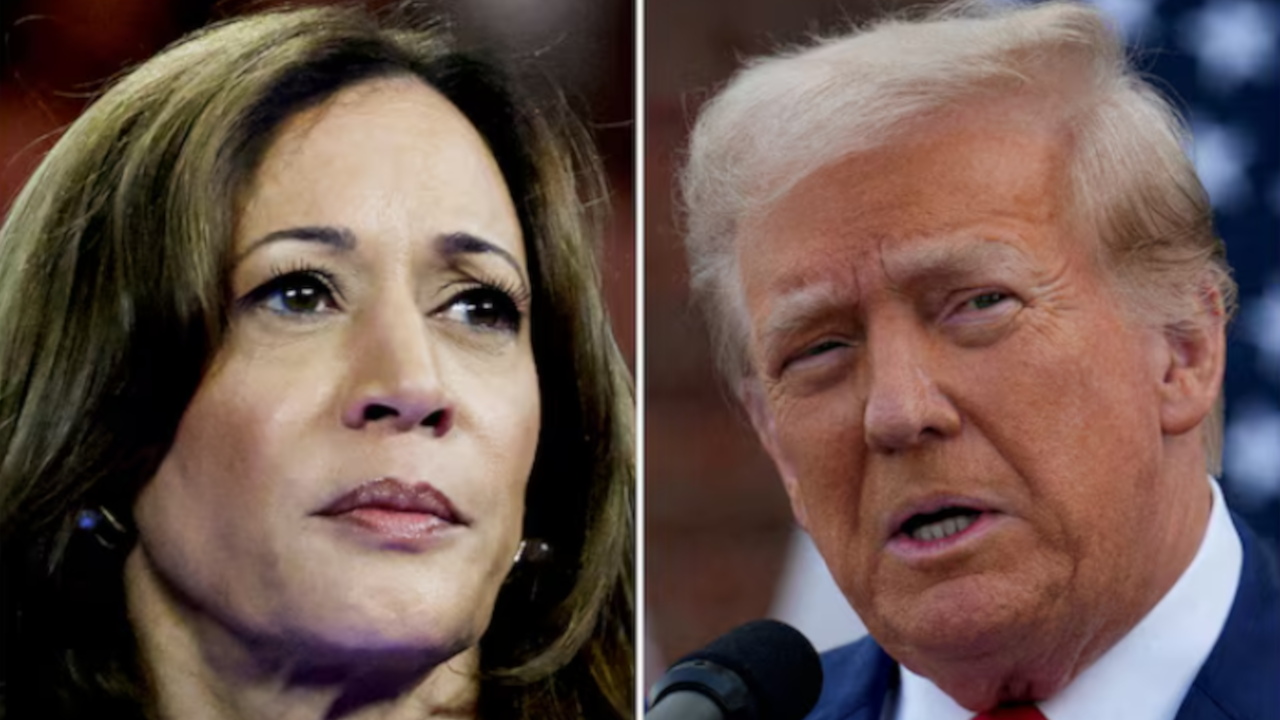 ABD'nin seçim Nostradamus'u: Kamala Harris, anketlere rağmen Donald Trump'ı yenecek