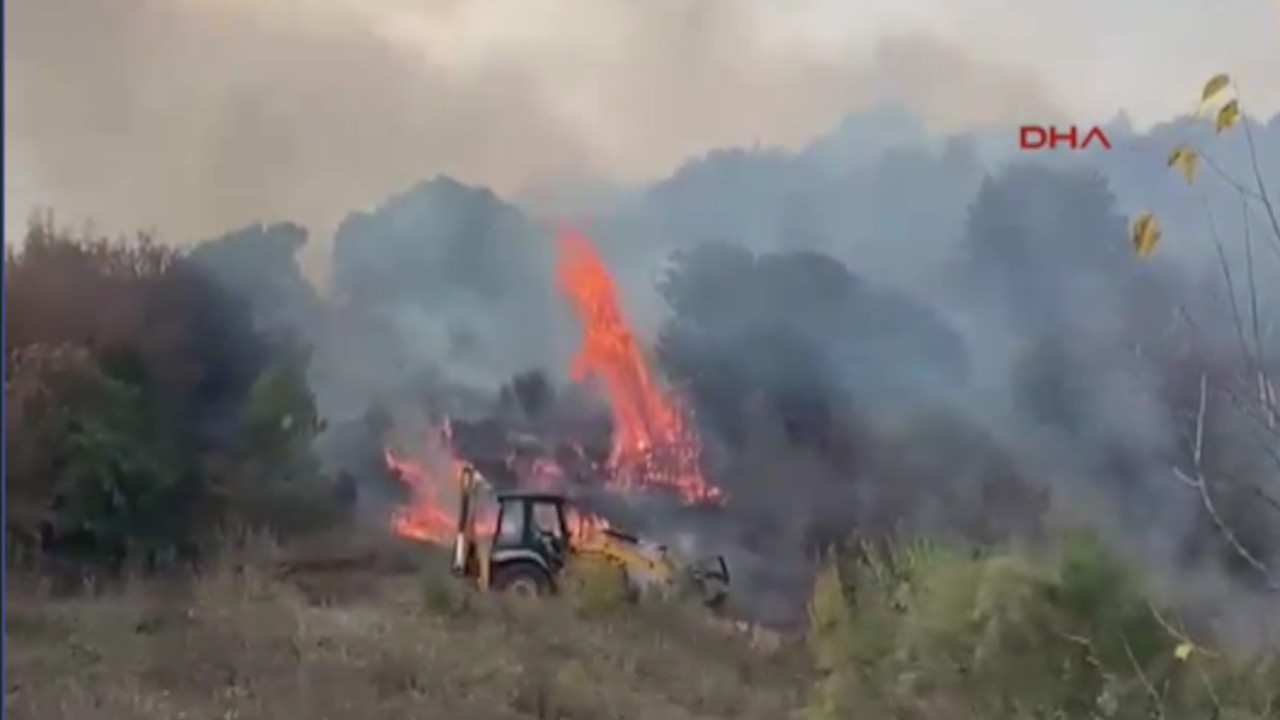 Çanakkale'de orman yangını