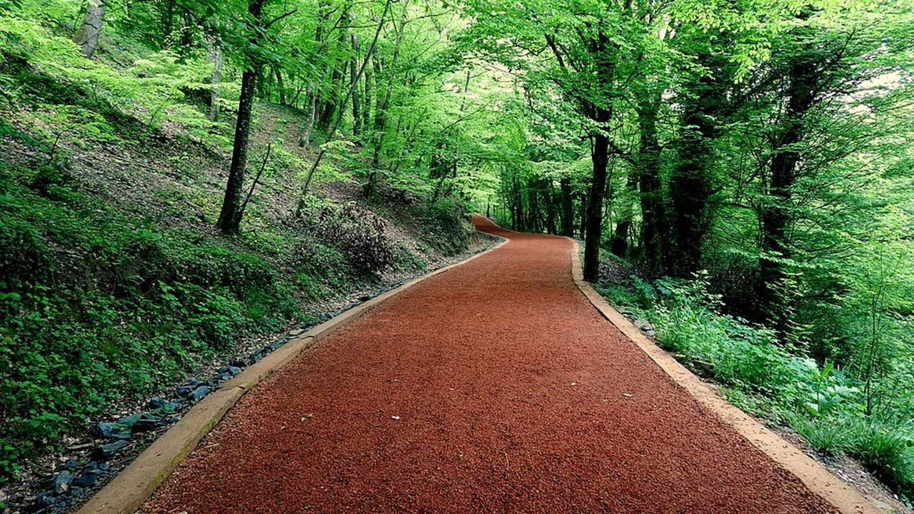 Belgrad Ormanı'nın koruma statüsü değiştirilip, imara açılıyor