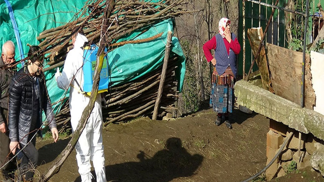 Trabzon'da şarbon paniği