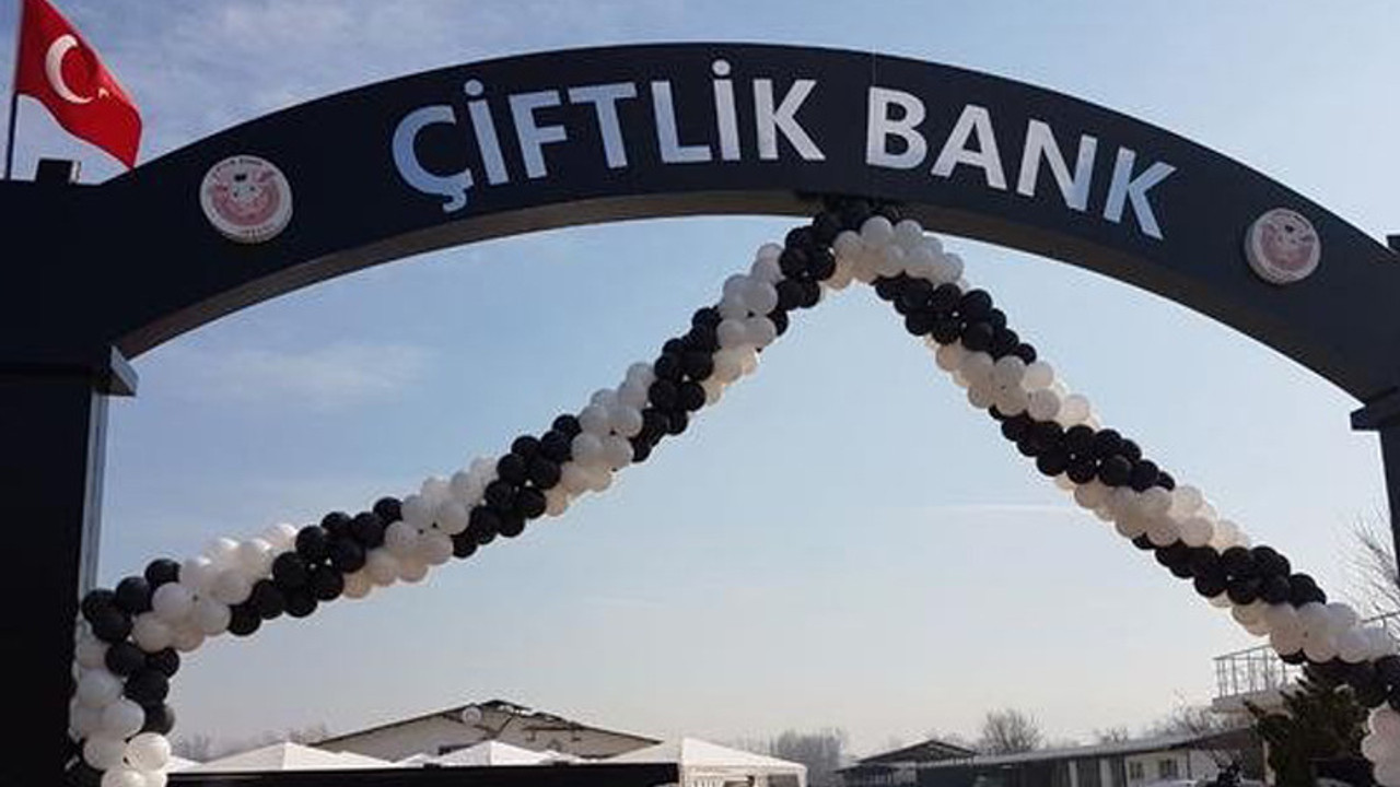 Çiftlik Bank'ta iki tutuklama