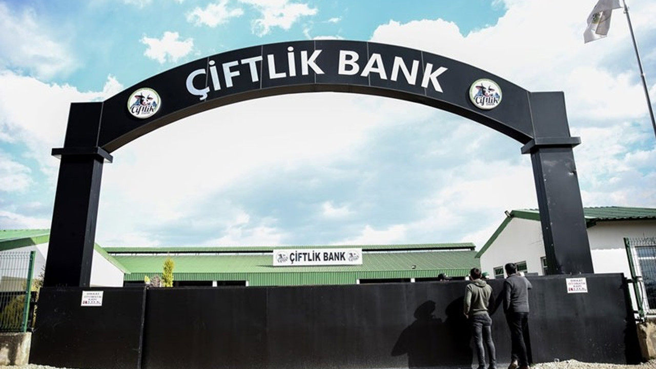 Çiftlik Bank soruşturmasında 4 kişi daha tutuklandı