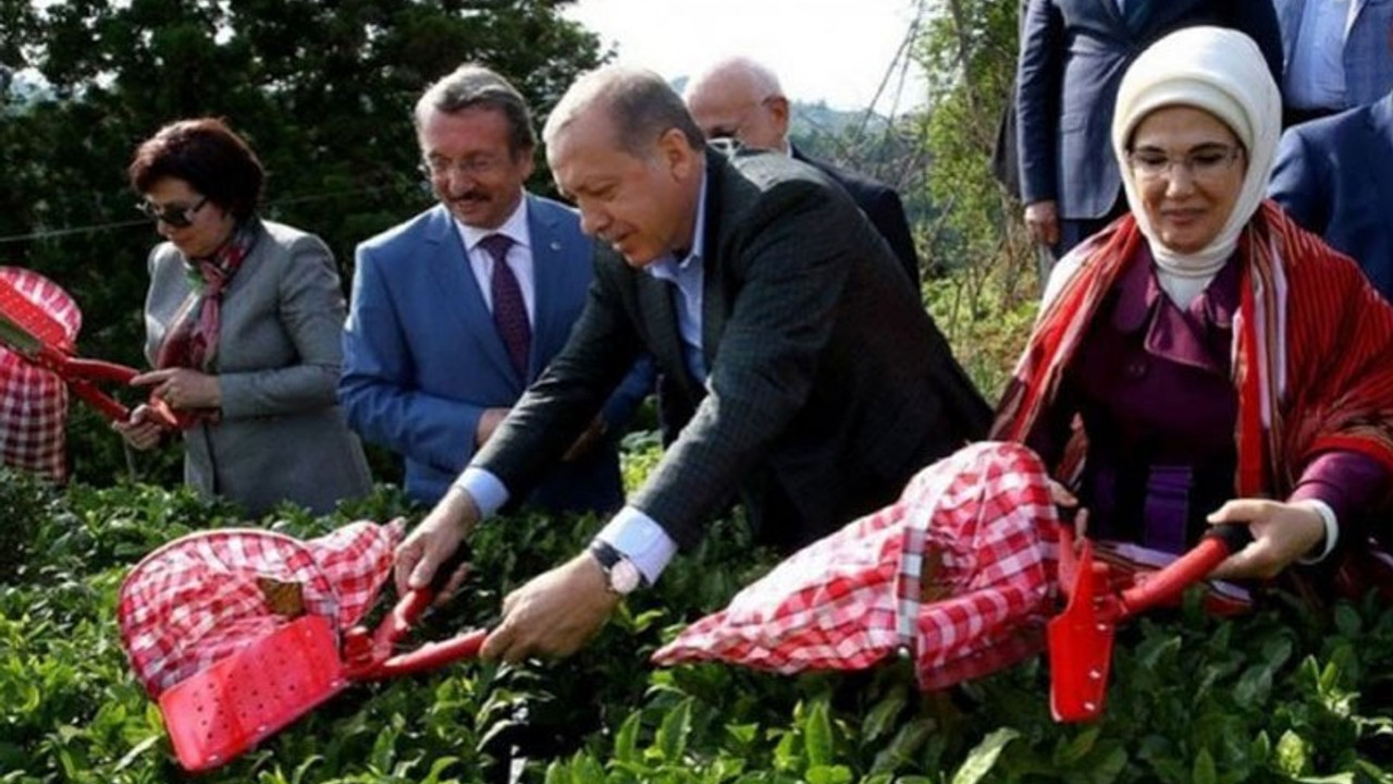 YARSAV Başkanı: Yargıcın görevi siyasileri yüceltmek değil
