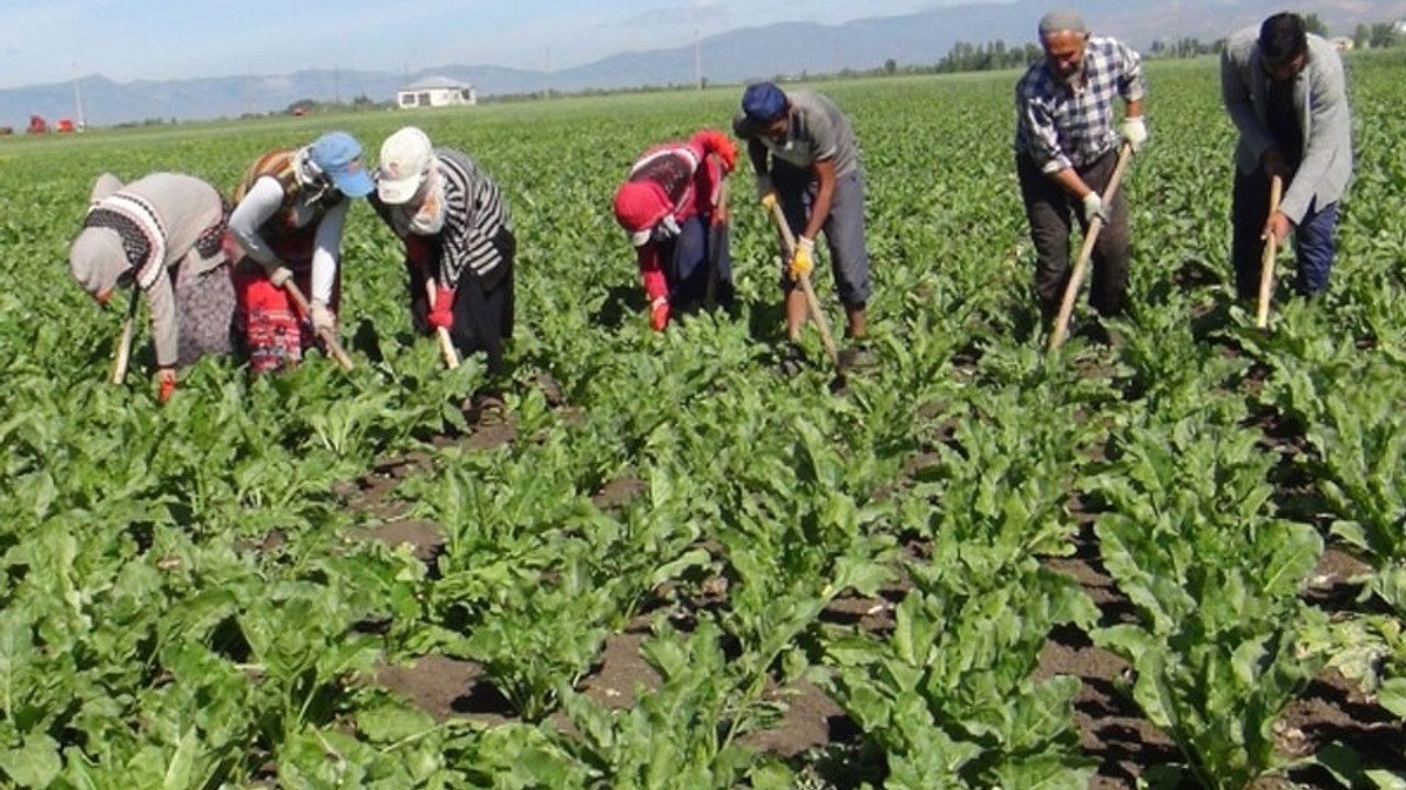 Geriye bir tek hava kaldı: Çiftçinin suyu satıldı, toprağı satılıyor