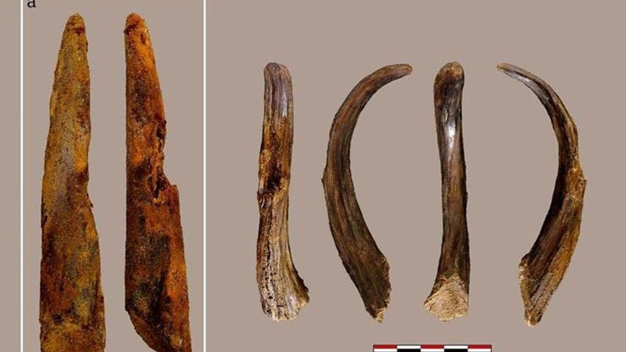 İspanya'da bilinen en eski Neandertal ahşap aleti bulundu