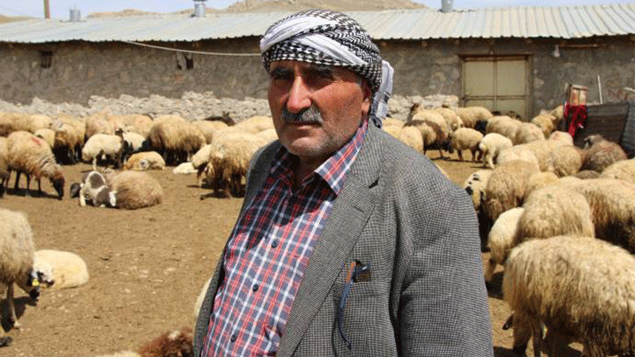 Besiciler yayla yasakları nedeniyle mağdur