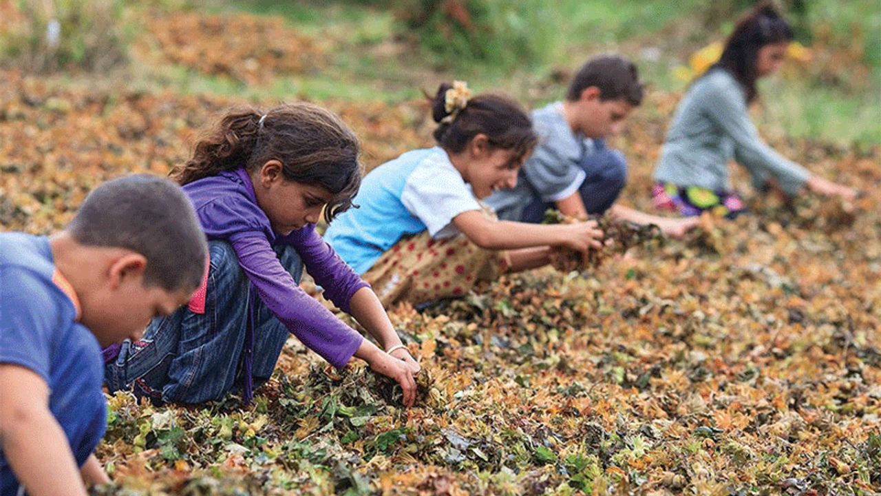 Bugün 23 Nisan: 2 milyon çocuk işçi, 483 bin çocuk evli