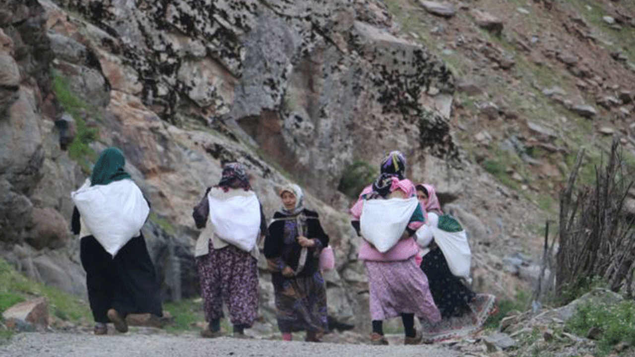 Berivanların asma köprüleri ve patika yolları yasaklandı