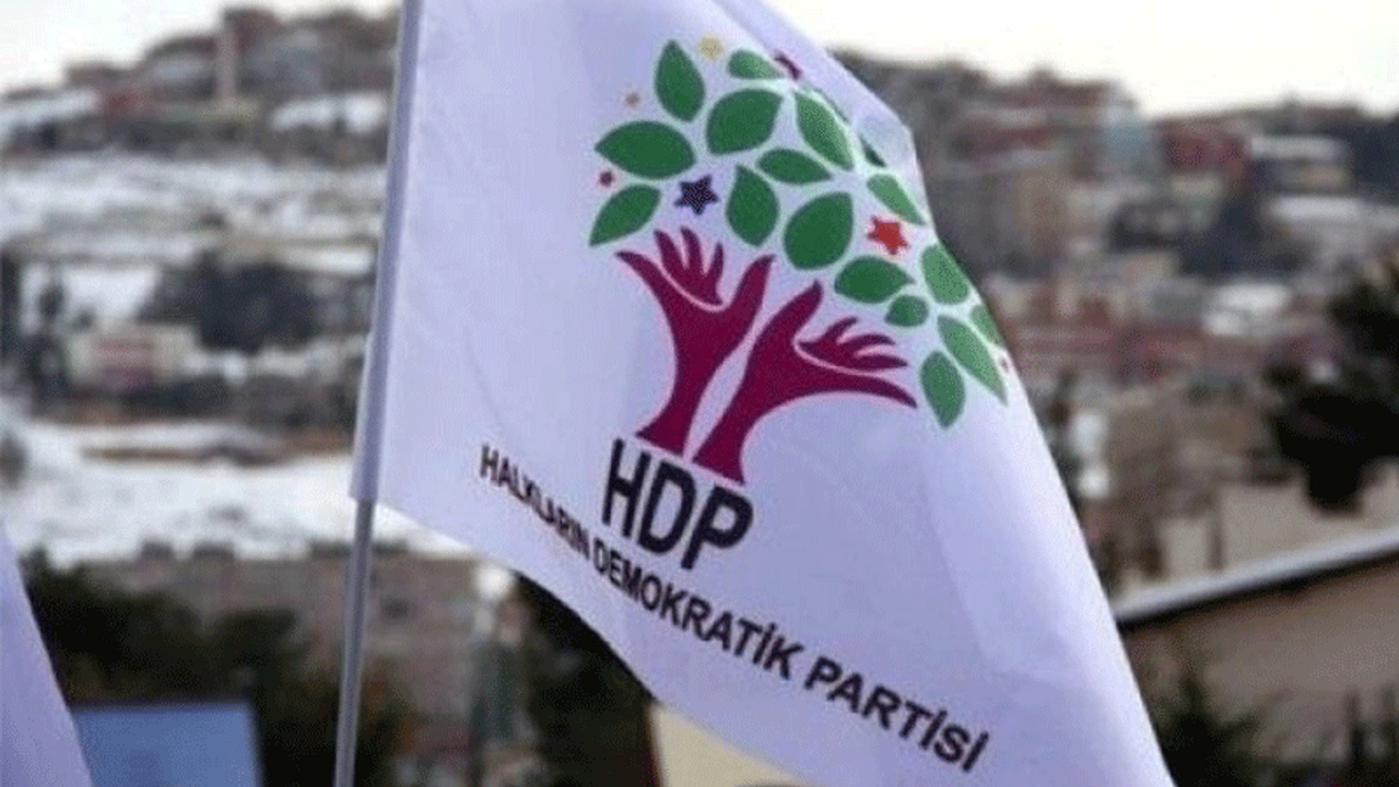 HDP il başkanı gözaltına alındı