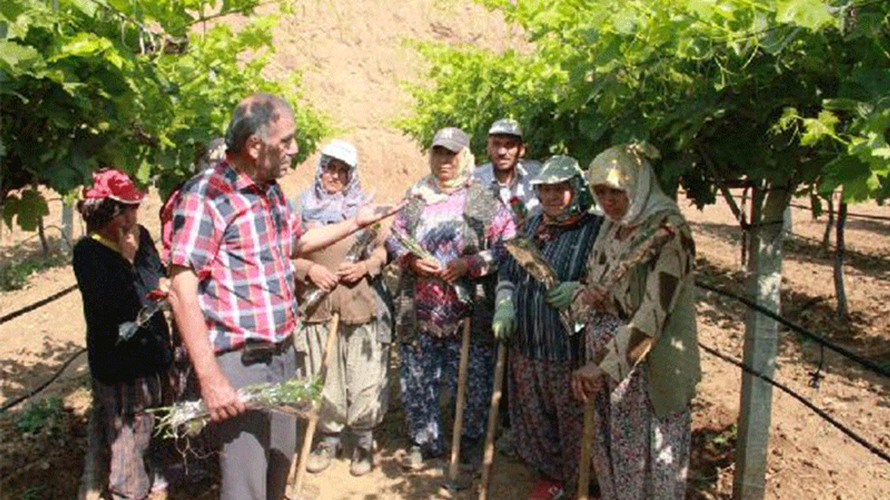 1 Mayıs'ta da çalışan tarım işçilerine karanfil