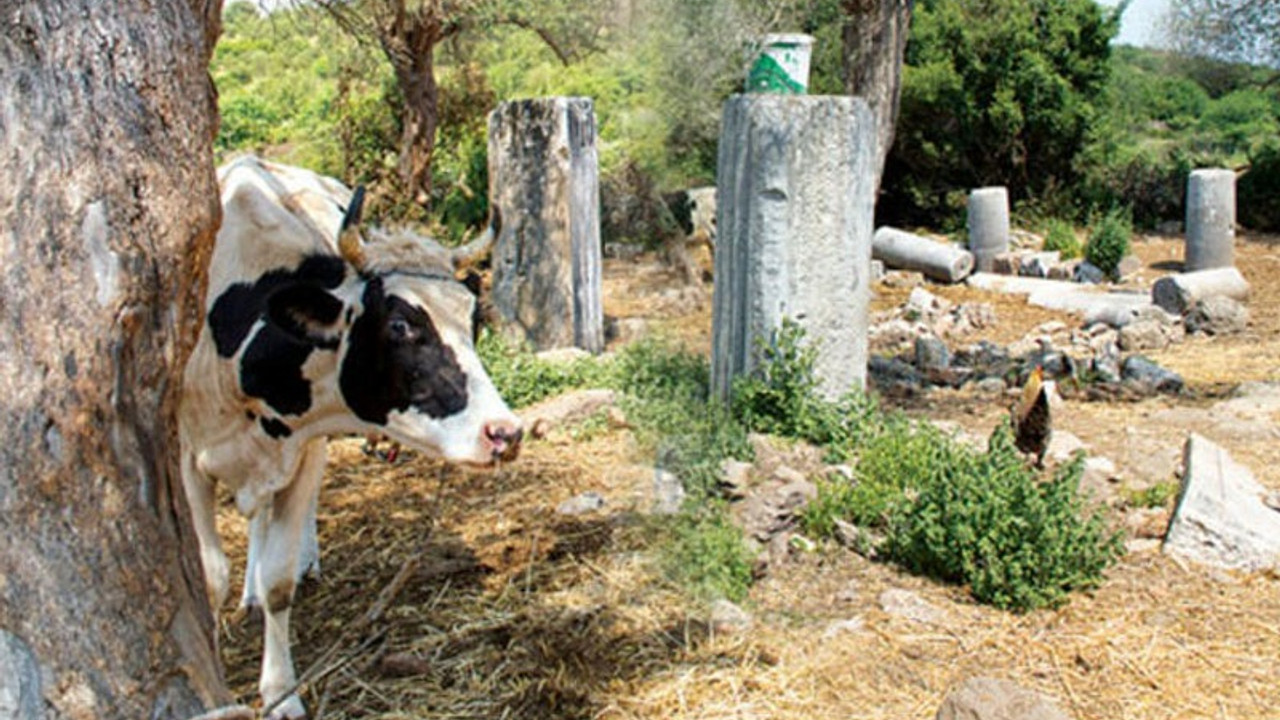 Sahibinden satılık 2 bin 500 yıllık antik kent