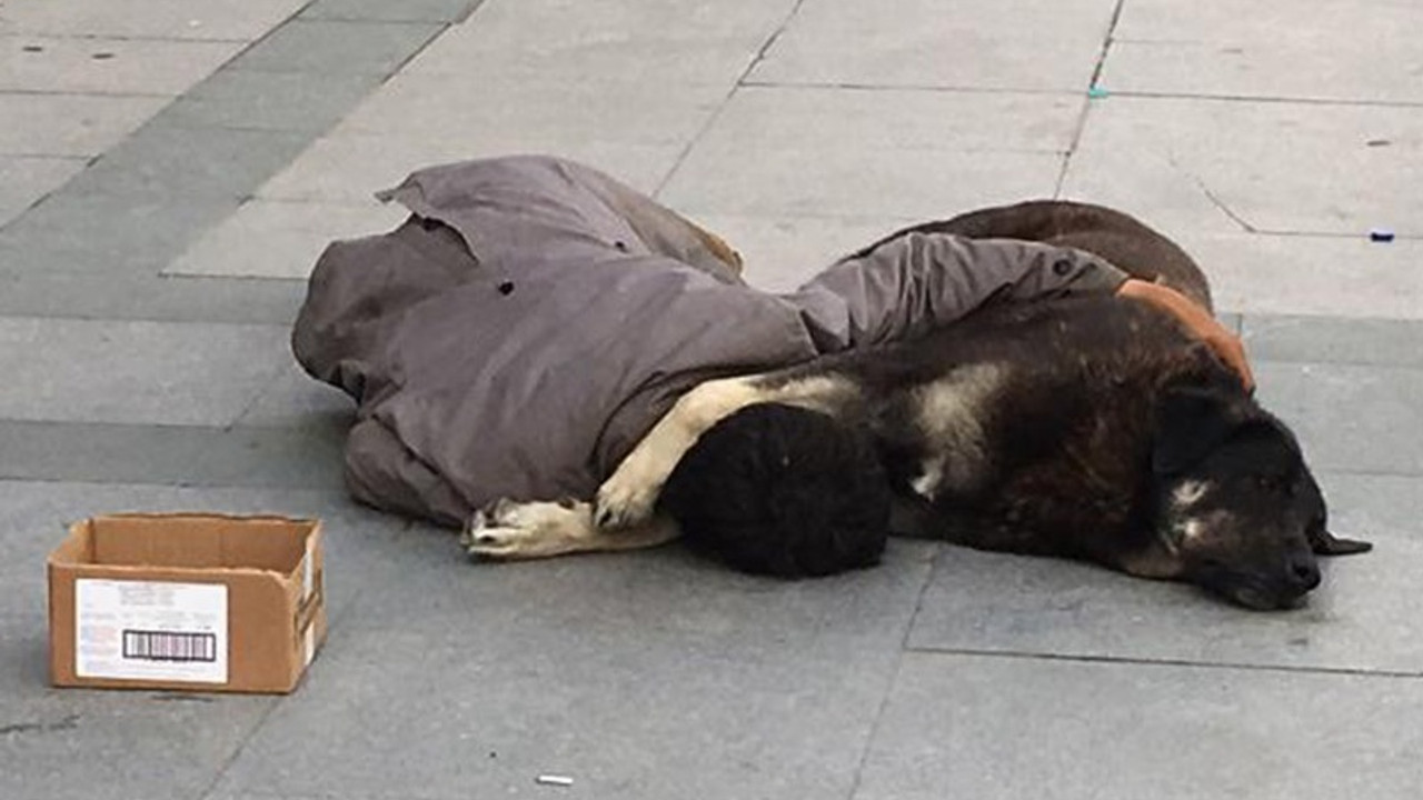 Köpeğine sarılarak uyuyan çocuk yürekleri sızlattı