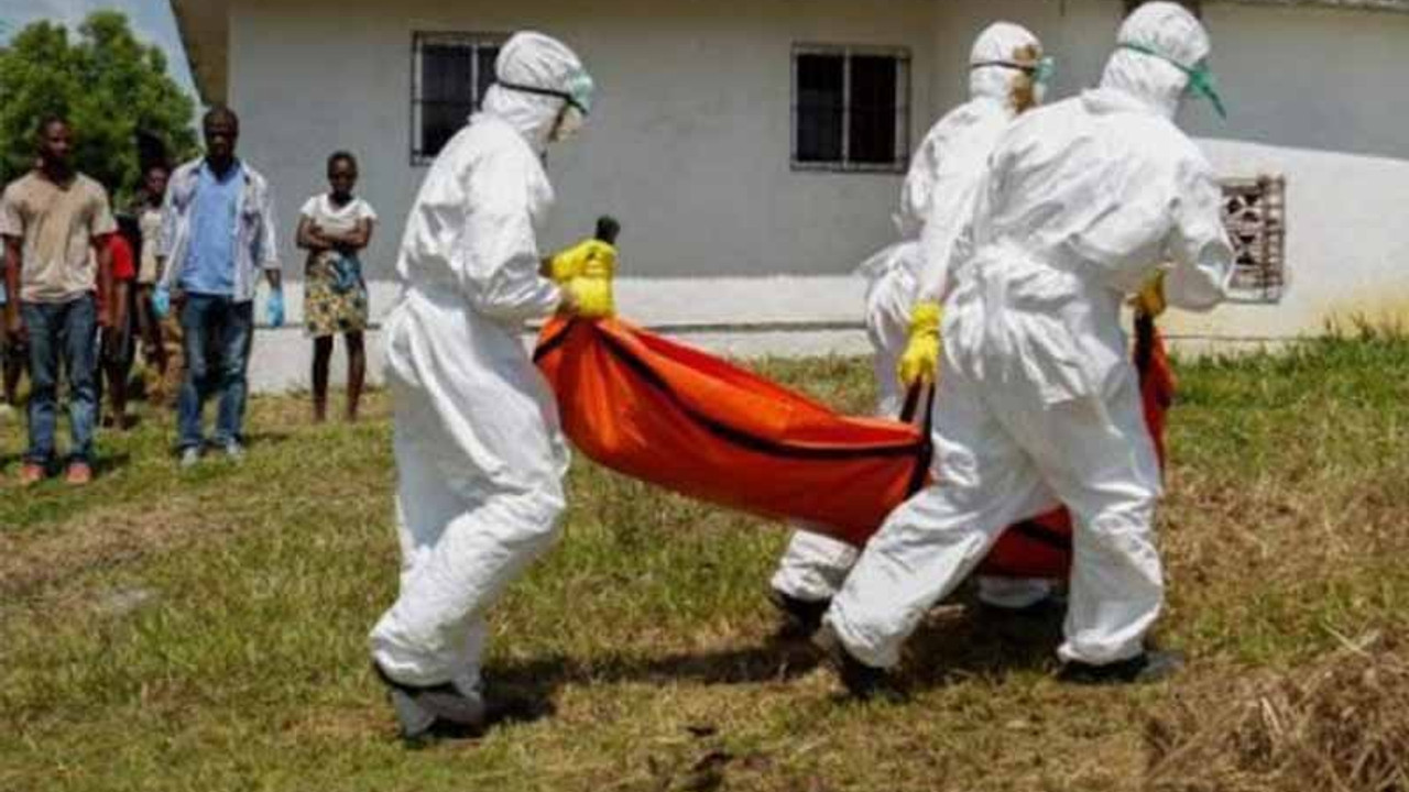 Afrika'da Ebola kabusu