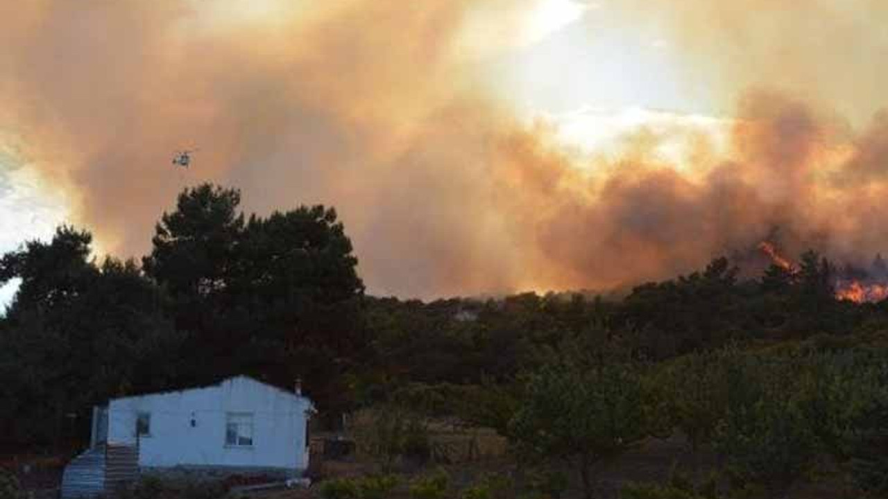 Çanakkale'de orman yangını