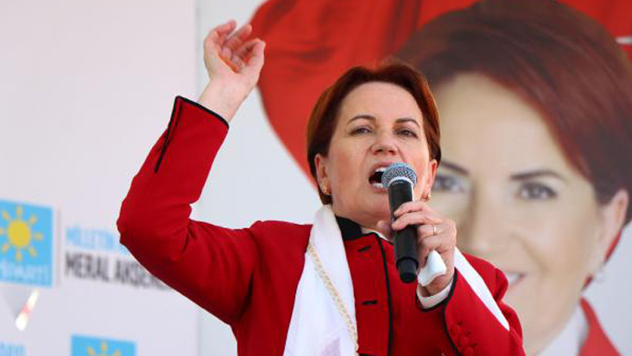 Akşener: Ağaların siniri çok bozuldu