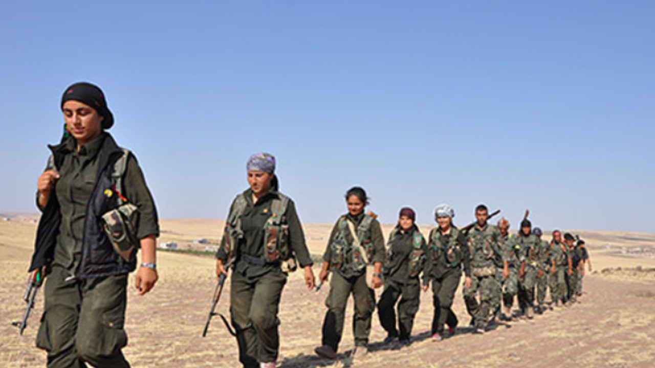 Almanya YPG'li sayısını açıkladı