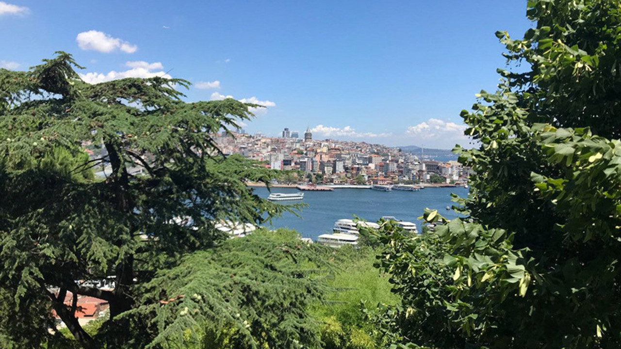 İstanbul'un tek botanik bahçesine tahliye kararı