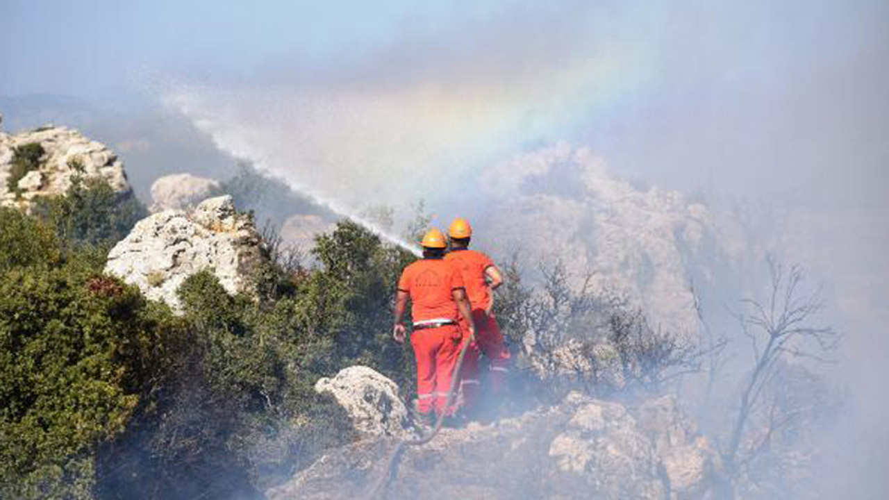 Antalya'da makilik alanda yangın