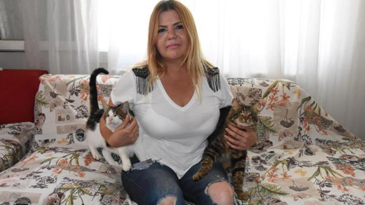 Kedi besleyen komşusuna hakaret edince mama almak zorunda kaldı