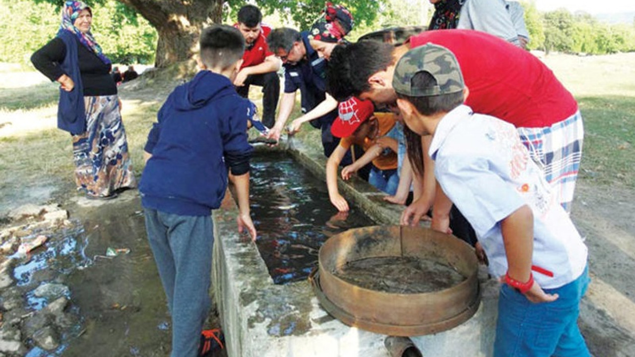 Kıyıya vuran balıkları yaşatmak için çeşmede yıkadılar