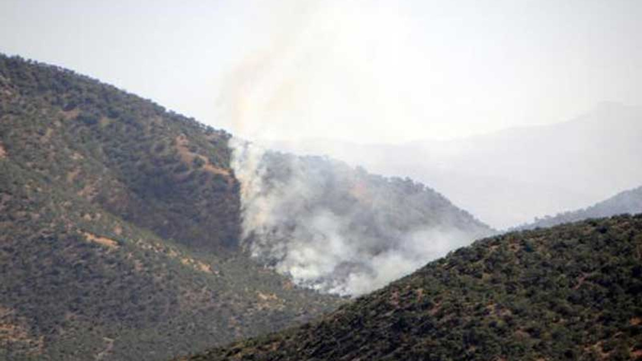 Dersim'de orman yangını