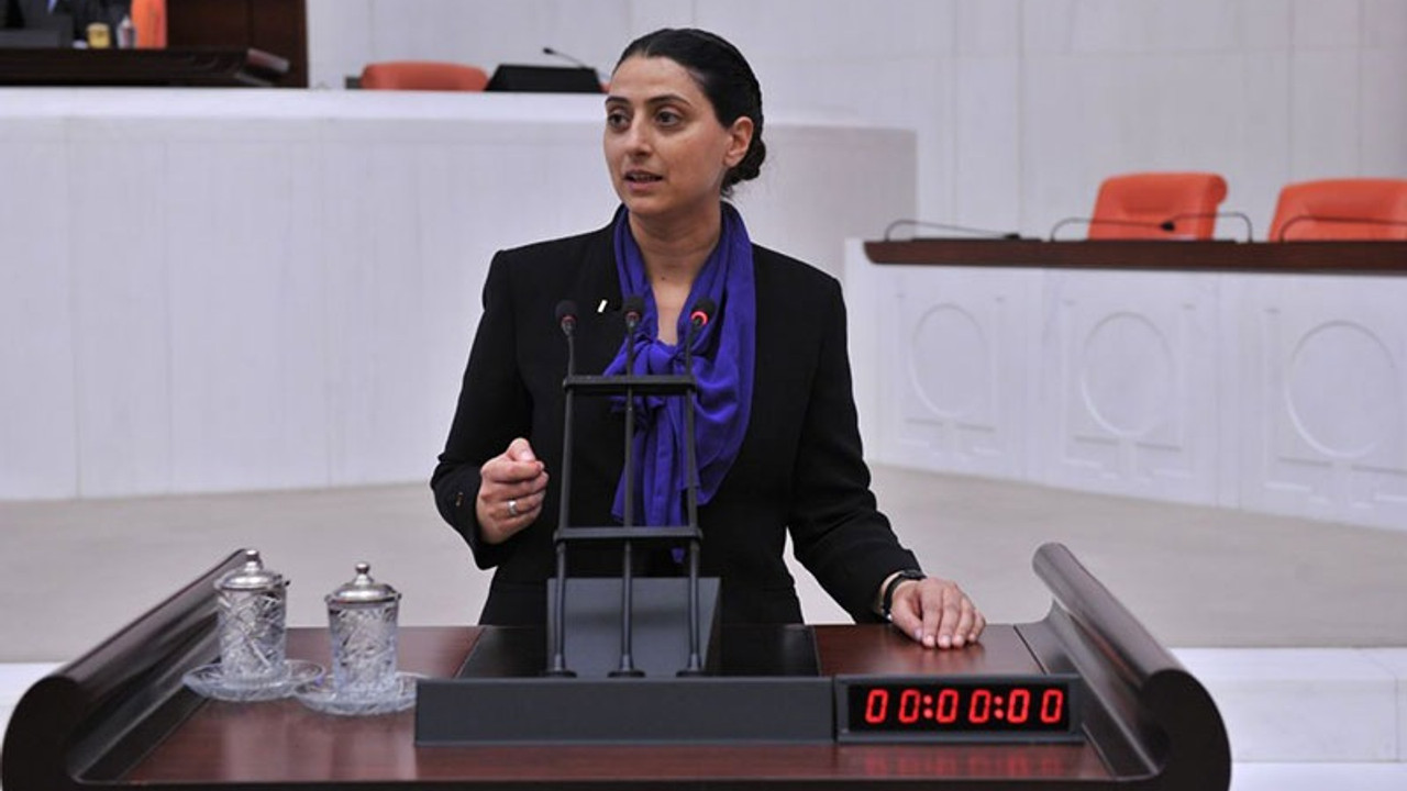 HDP'li Uca, hastanelerdeki sorunları Meclis'e taşıdı