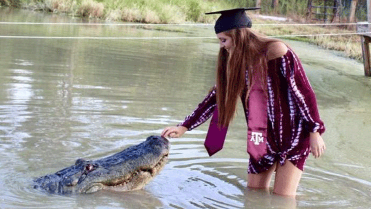 Dört metrelik timsahla mezuniyet fotoğrafı çektirdi