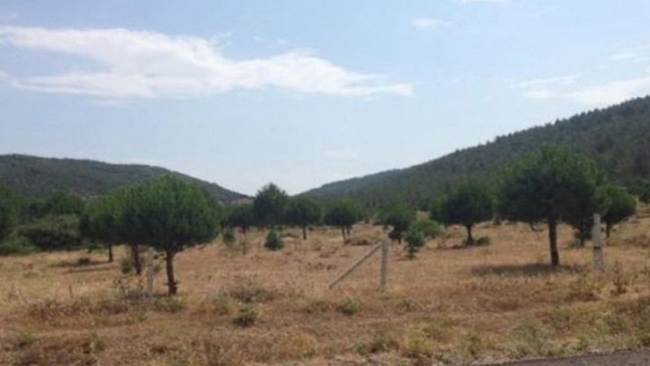 Kınık'taki zeytinliğe maden ocağı onayı