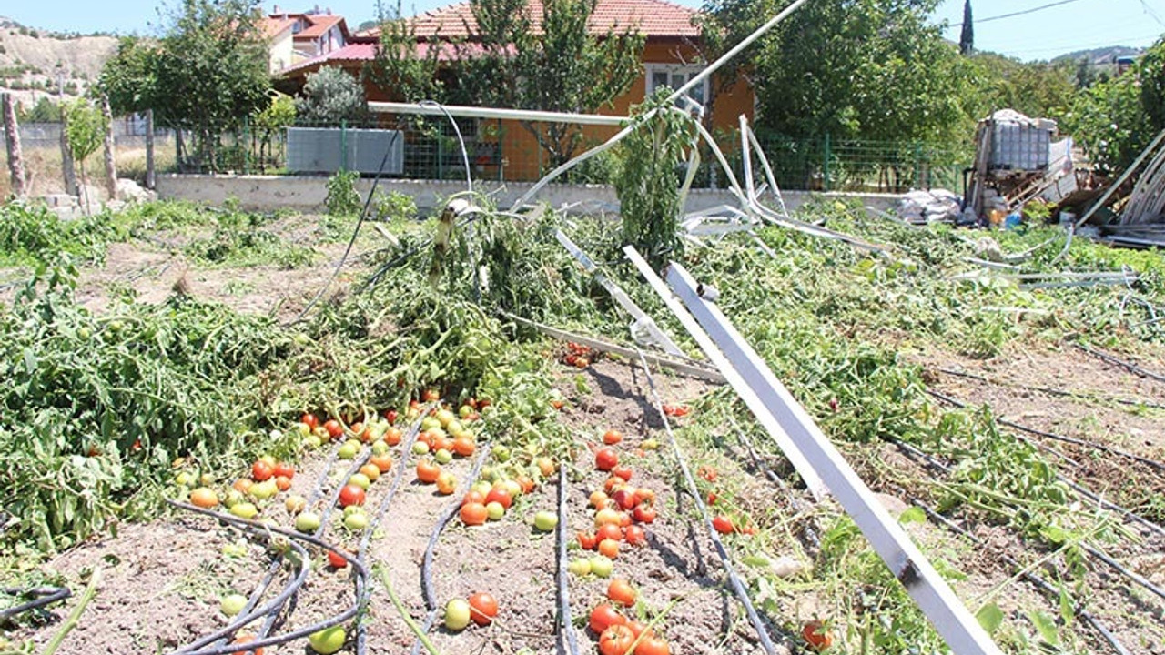 Belediye serayı iş makineleriyle yıktı