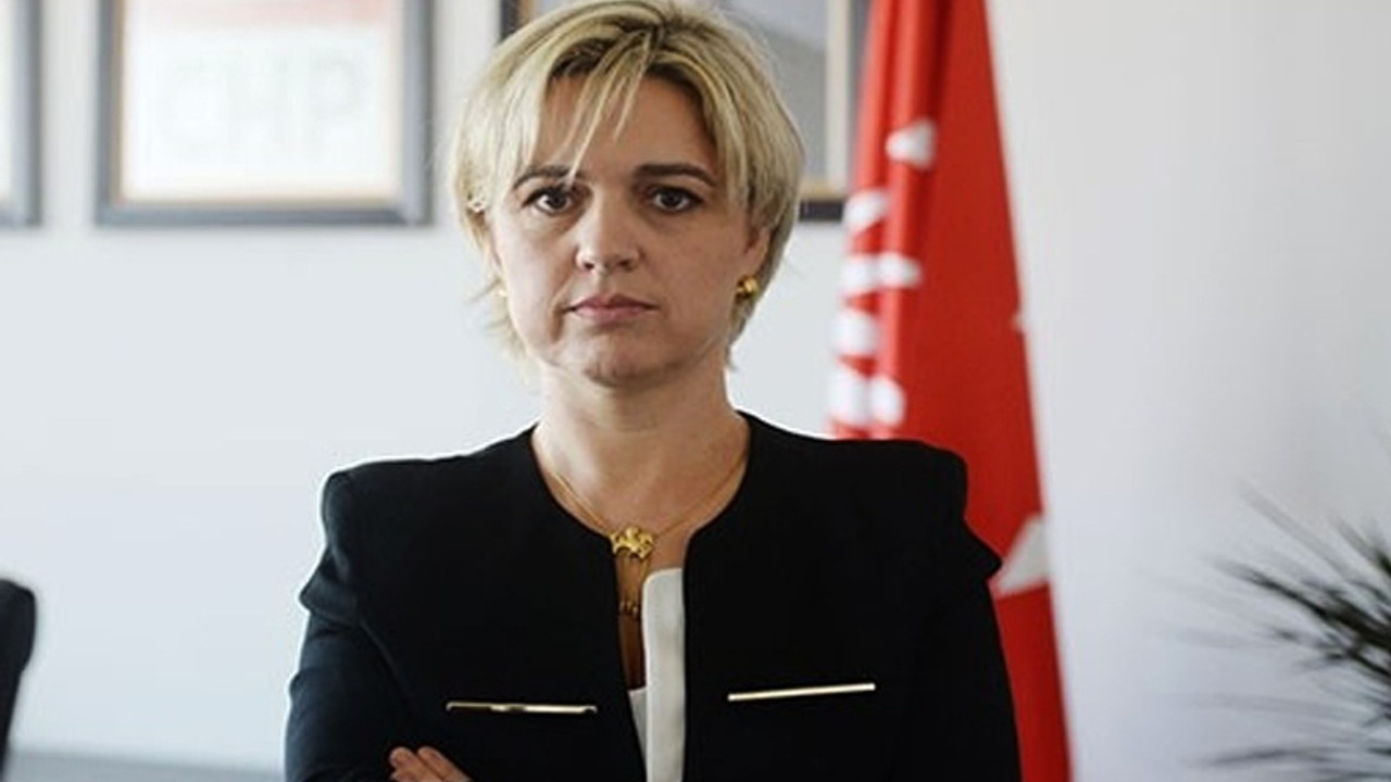 CHP'li Böke: Kendinize gelin, ülke yanıyor