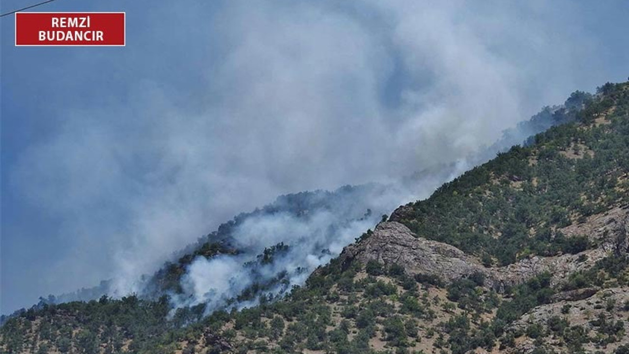 Dersim'de ormanlar yanıyor, müdahaleye izin verilmiyor