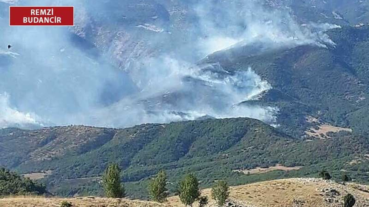 'Yangına müdahale etmek değil, izlemek suç'