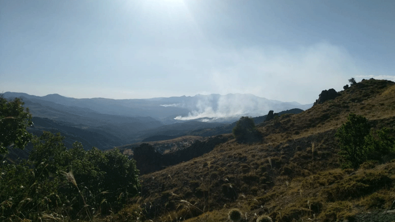 Dersim'de bir haftadır süren yangına müdahale