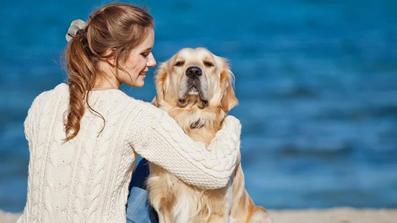 Kesin bilgi: Köpekler sahiplerine benziyor