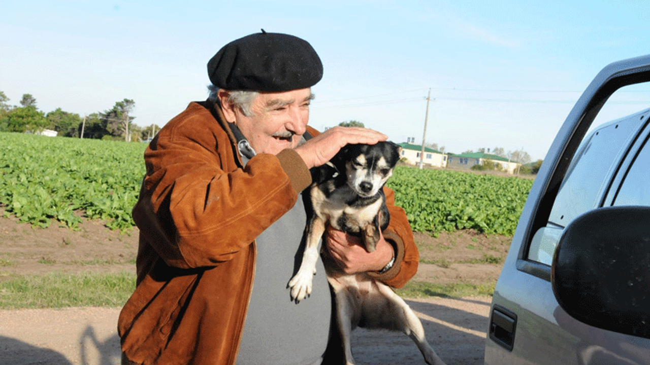 Köpeğinin öldüğü gün senatörlükten istifa kararı aldı