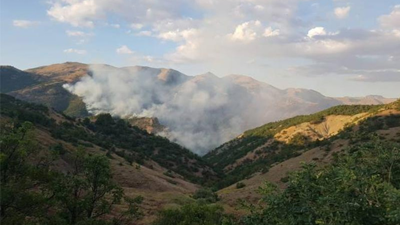 'Yangına müdahale edilmezse köyümüz yanacak'