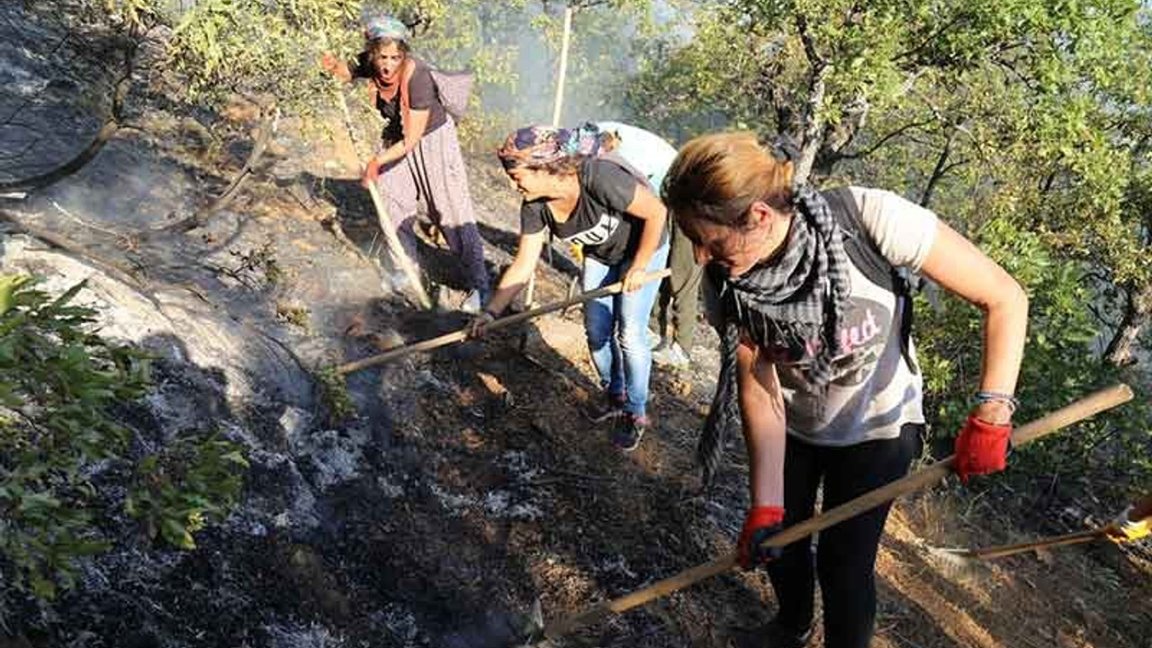 Dersim'deki orman yangını söndürüldü