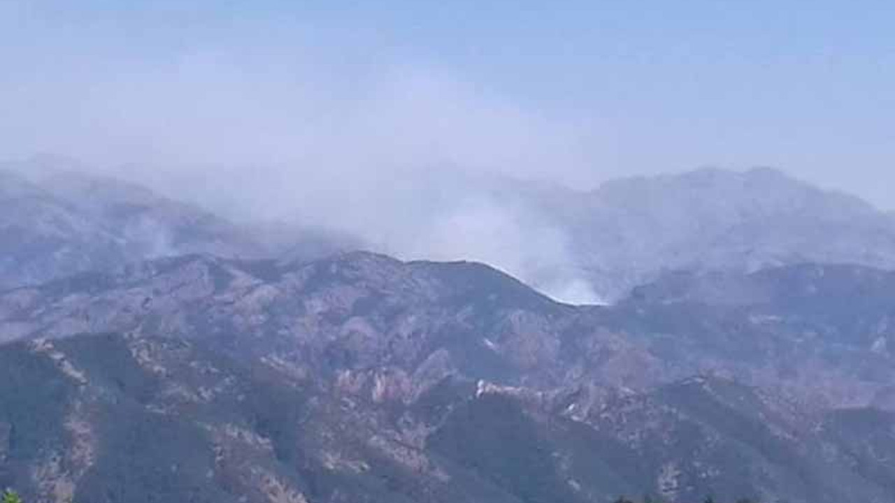 Dersim’deki orman yangını için harekete geçme çağrısı