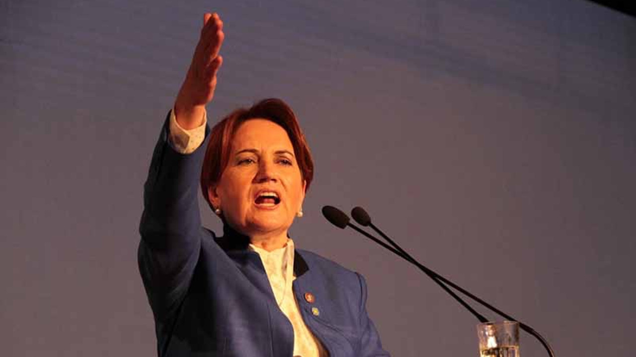 Akşener'den Erdoğan'a: Ben oraya inşaat yapın demedim