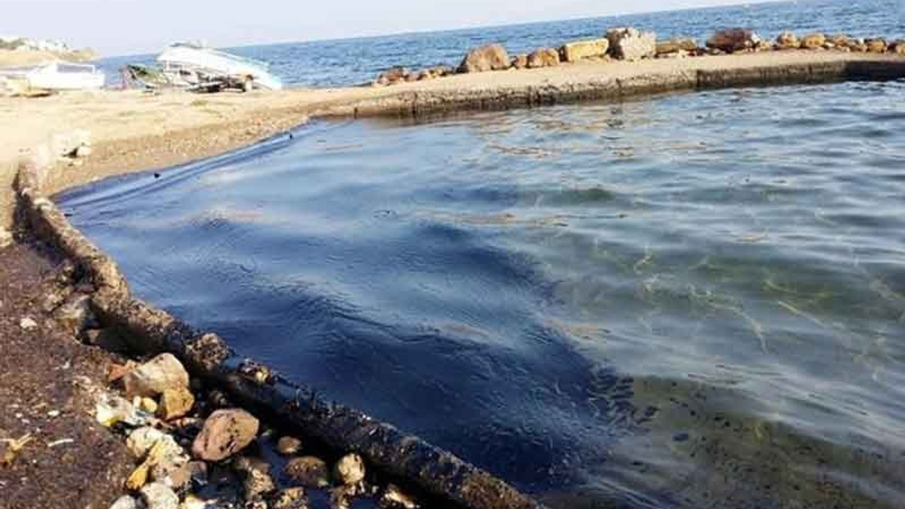 Gözde tatil beldesinde çevre felaketi