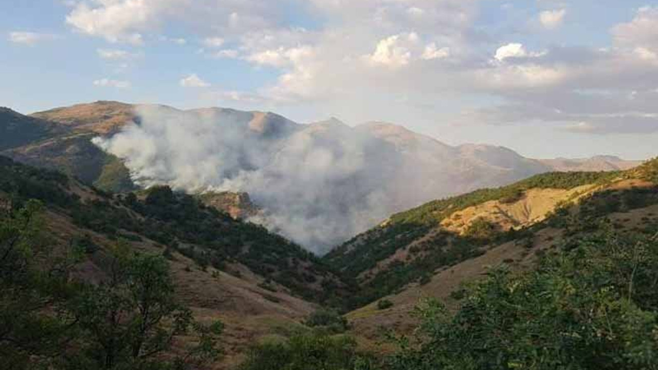 Dersim'de bir orman yangını daha