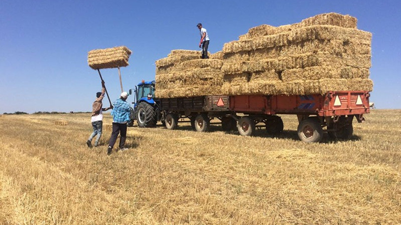 Artık samanın da bir borsası var